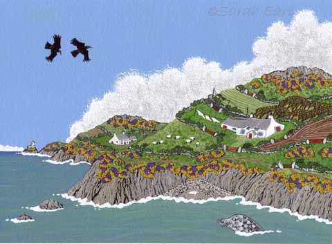 21 September seals and choughs near Strumble Head