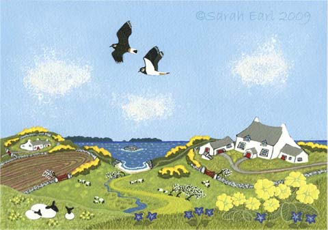 31 Lapwings and primroses at Porth Lisky.