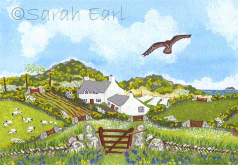 11 Spring-time buzzard near St.David&rsquo;s
